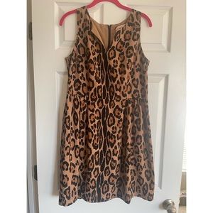 Loft Leopard Print Dress